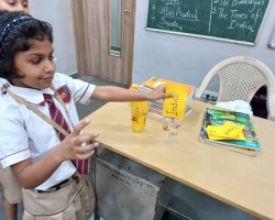 Std-II-July-Activities-2024